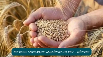 سعر الإثنين.. ارتفاع جديد لأرز الشعير في الأسواق بتاريخ 1 سبتمبر 2025